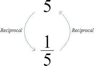 Reciprocals: Meaning, Fraction & Multiplicative Inverse