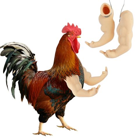 Funny Chicken Ubicaciondepersonascdmxgobmx