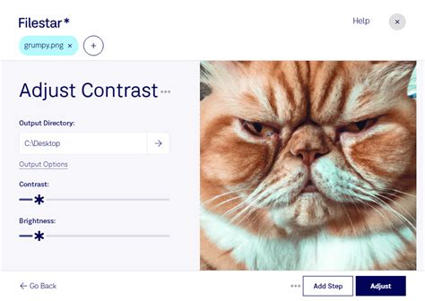 Adjust PNG Contrast - Bulk Convert and Process with Filestar