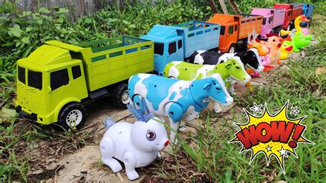 Mobil Truk Oleng Hewan Angkut Induk Sapi Warna Warni Gajah Bebek