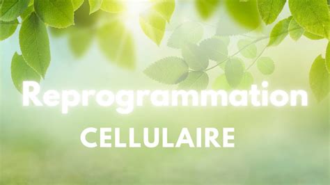 Reprogrammation Cellulaire Avec Chantal Youtube