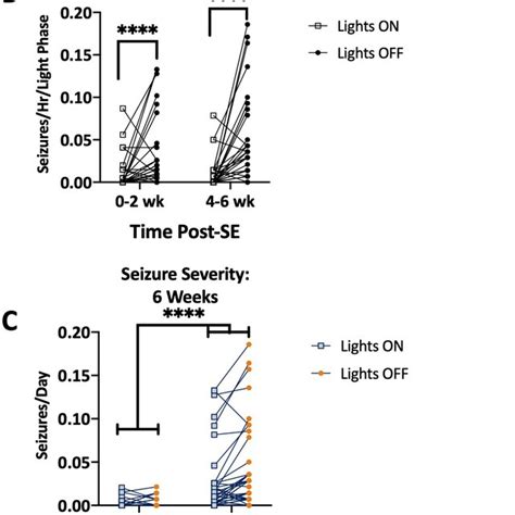 The Repeated Lowdose Kainic Acid KA Administration Protocol Leads To