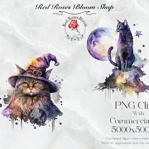 Witchy Cats Clipart Fantasy Clipart Fairytale Clipart Watercolor Cat