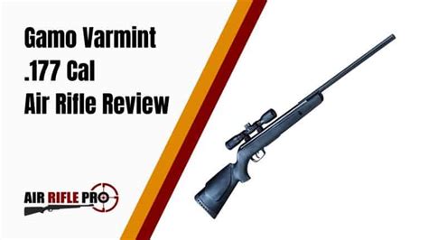 Gamo Varmint .177 Cal Air Rifle Review | Air Rifle Pro