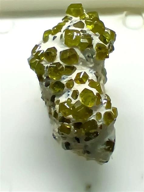 Granat Var Demantoid Kristalle Auf Muttergestein 5 8 G Catawiki