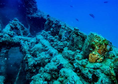 20 Photos Of Shipwrecks From Wwi And Wwii 1033 The Vibe