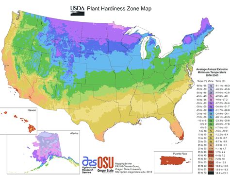 Us Plant Hardiness Zone Map • Mapsof.net