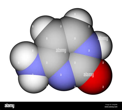 Nucleobase Cytosine Space Filling Molecular Model Stock Photo Alamy