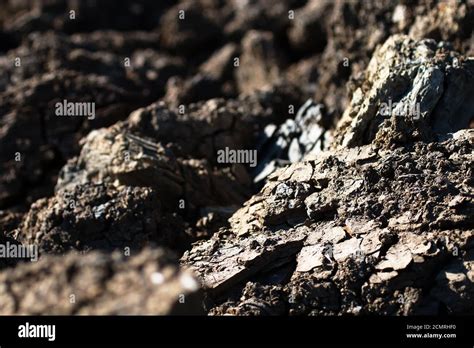 Barren Soils Hi Res Stock Photography And Images Alamy