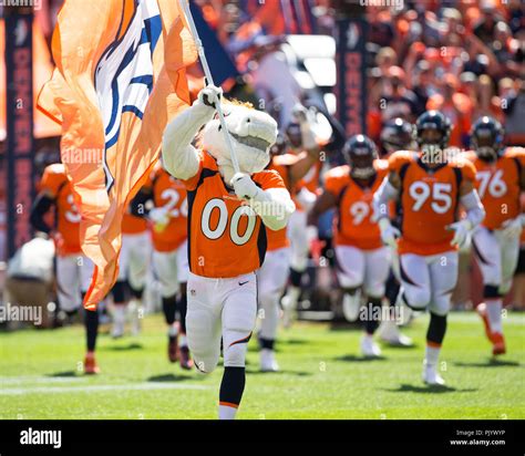 Broncos Mascot High Resolution Stock Photography and Images - Alamy