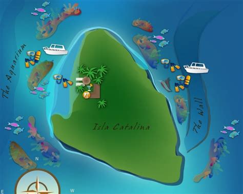 Isla Catalina Saona Tours Excursiones En Punta Cana Y La Isla Saona