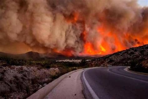 Care este legătura între incendiile de vegetație și epidemia care ne a