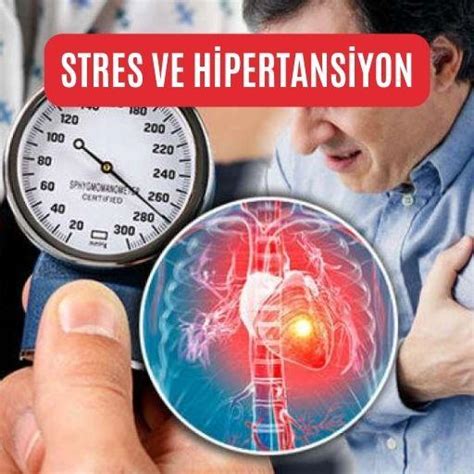 Stres Ve Hipertansiyon Prof Dr Nevrez Koylan