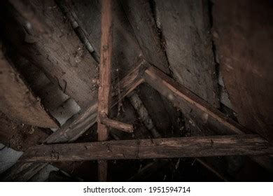 Dusty Attic Cobwebs Web Attic House Stock Photo 1951594714 | Shutterstock