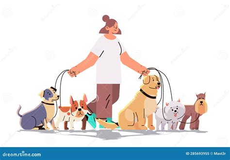 Woman Dog Handler Walks With Pets Best Friends Domestic Animals Walking