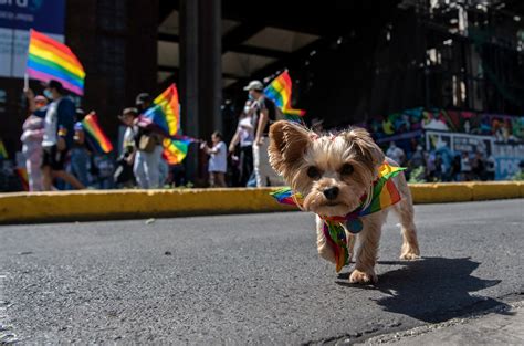 Chile vivió un histórico Día del Orgullo cuando está a punto de aprobarse el matrimonio gay en
