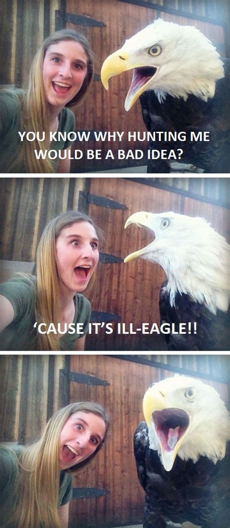 Bald Eagle Pun Memes Lol Puns Jokes Corny Jokes Bad Jokes Funny