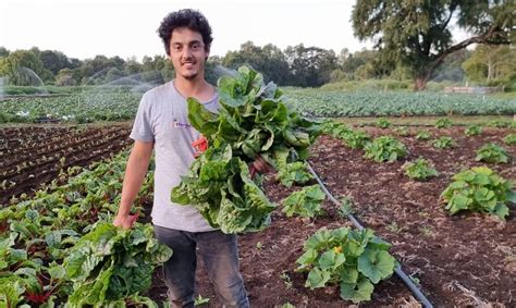 Por su aporte a la pequeña agricultura distinguen a productor