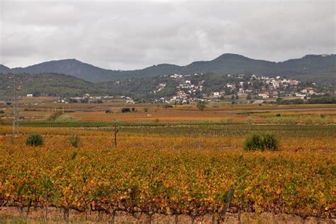 Sant Martí Sarroca MARIA ROSA FERRE Flickr