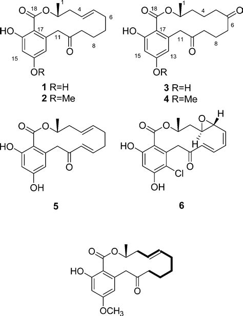 Correction To Neocosmospora Sp Derived Resorcylic Acid Lactones With