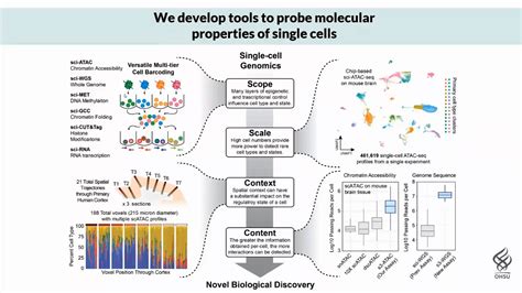 Advances In Single Cell Combinatorial Indexing