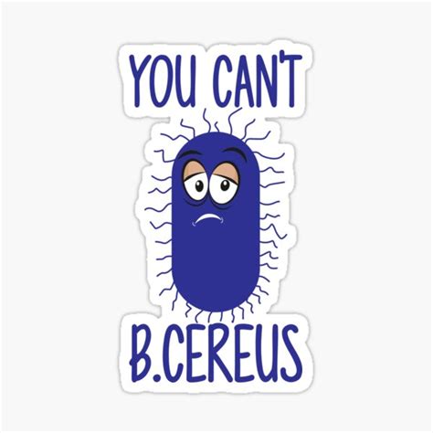 You Cant B Cereus Funny Bacteria Sticker For Sale By Elhon Redbubble