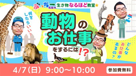 生き物なるほど教室動物にかかわるお仕事をするには！？