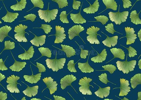 Ginkgo Biloba Hojas Fondo De Patr N Transparente Ilustraci N Del