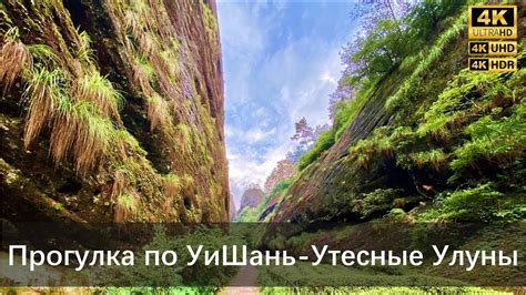 Путешествие на УиШань Утесные улуны, Уишанский чай （День #3 1） - YouTube