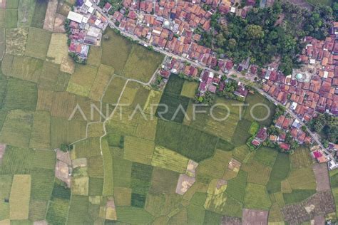 Peningkatan Produksi Beras Nasional ANTARA Foto