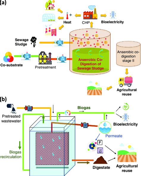 Process Flow Diagram Of Typical Anaerobic Systems Used For Wastewater