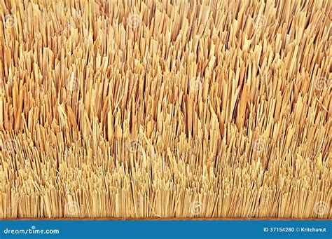 Thatch roof texture stock photo. Image of stack, leaves - 37154280