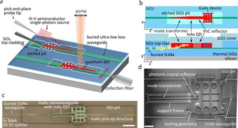 Integration Of Single Photon Source To Ultra Low Loss Waveguide A Download Scientific Diagram