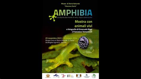 Amphibia La Vita Tra Due Mondi Di Rane Rospi E Salamandre Museo Di