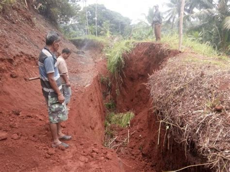 Saluran Irigasi Jebol Ratusan Hektar Sawah Terancam Kekeringan