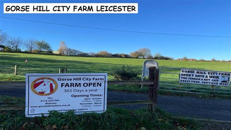 Gorse Hill City Farm Leicester Let S Feed Baba Sheeps Youtube