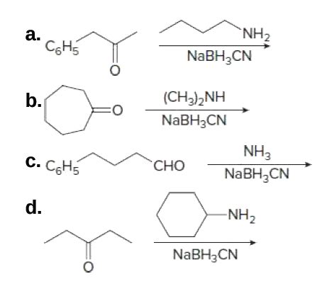 Answered NH2 a Cонs NABH CN b CH3 NH NABH3CN bartleby