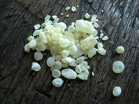 Что такое мастиковая смола Mastic Gum - польза и вред