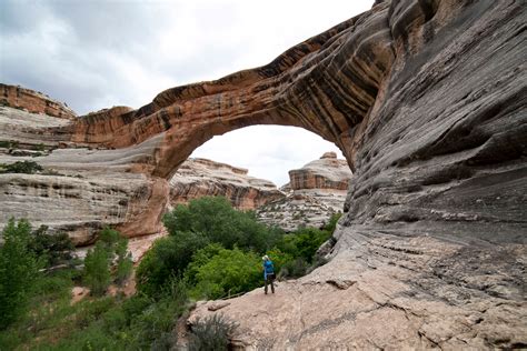 Natural Bridges National Monument | Things to Do | Bluff Dwellings