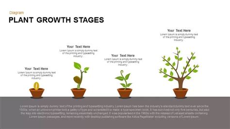 Growing Plant PowerPoint Template and Keynote Slide