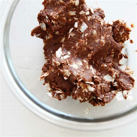 Vegan Coconut Chocolate Almond Joy Protein Bars Recipe All Purpose