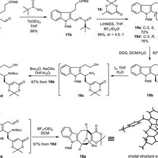 Gram Scale Synthesis Of Common Intermediate 16a The Key Transformations