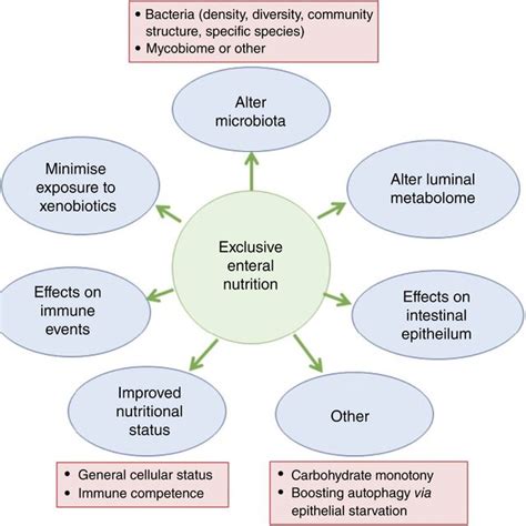 Potential Mechanisms Associated With Exclusive Enteral Nutrition