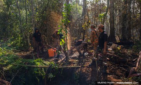 Syarikat Modal RM1 Dapat Hak Bangunkan Hutan Simpan Kuala Langat