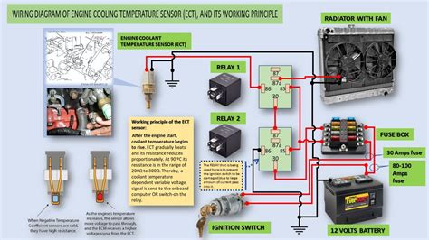 Coolant Temperature Sensor Diagram As One Of The Online Sale