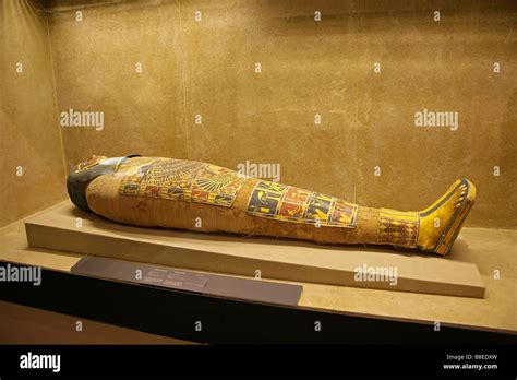 Imhotep Museum Fotos e Imágenes de stock Alamy