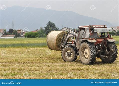 Tractor Loading Hay Bale In Turin Editorial Stock Photo Image Of