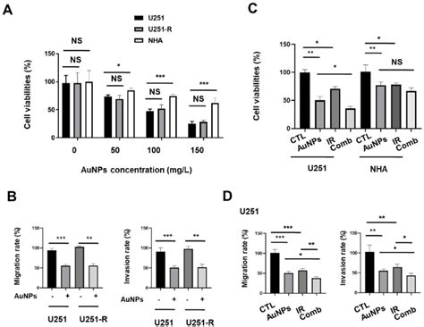 Aunps And Ir Had A Synergistic Anti Tumor Effect Against Glioma Cells