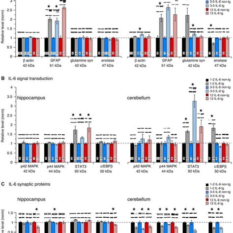 Protein levels in hippocampus and cerebellum of IL-6 tg and non-tg mice ... 