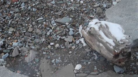 Fossils Tin Can Beach Saint John NB Jan 11 2019 Beach Coffee And